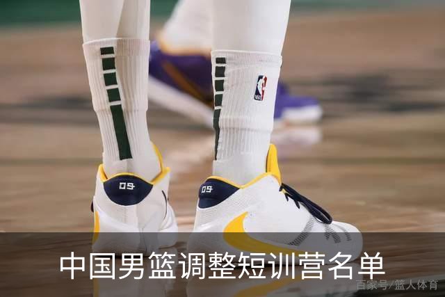 中国男篮调整短训营名单