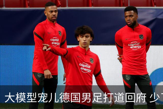 大模型宠儿德国男足打道回府 少了人性观察数据等于废纸