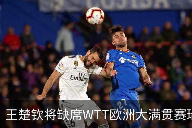 王楚钦将缺席WTT欧洲大满贯赛瑞典站